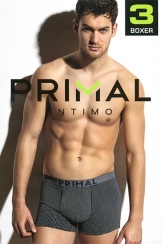 Трусы Primal