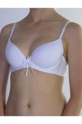 Бюст Коминня