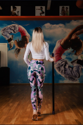 Тайтсы FenixFit