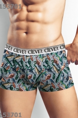 Трусы муж. Clever