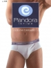 Трусы Pandora